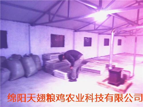 mmexport1490755865845.jpg